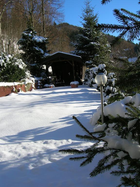 Aktivpension Regenbogen Willingen  Exterior photo